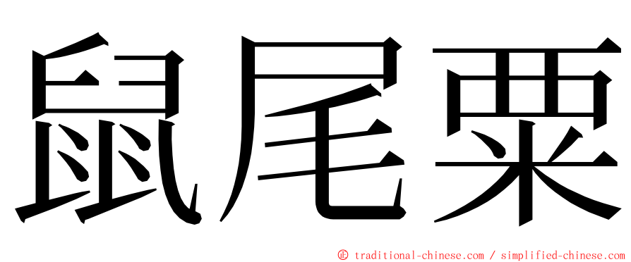 鼠尾粟 ming font