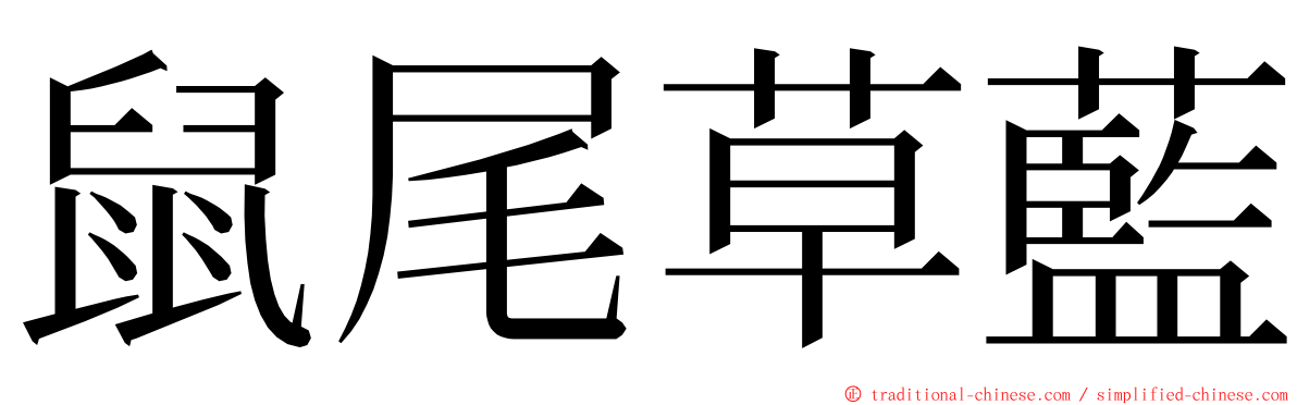 鼠尾草藍 ming font