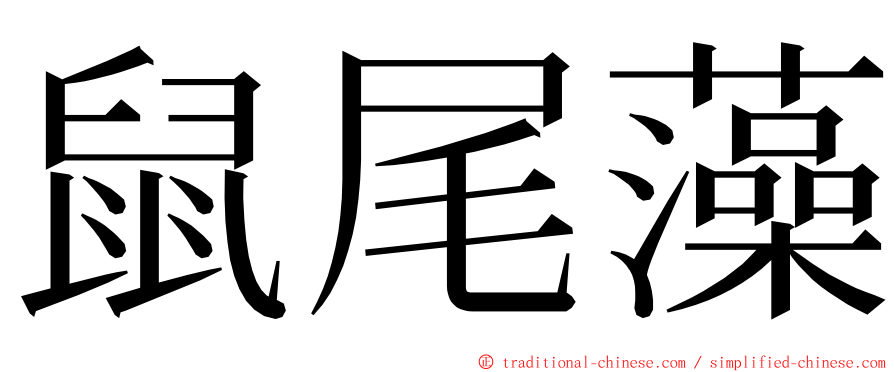 鼠尾藻 ming font