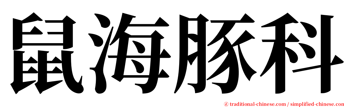 鼠海豚科 serif font