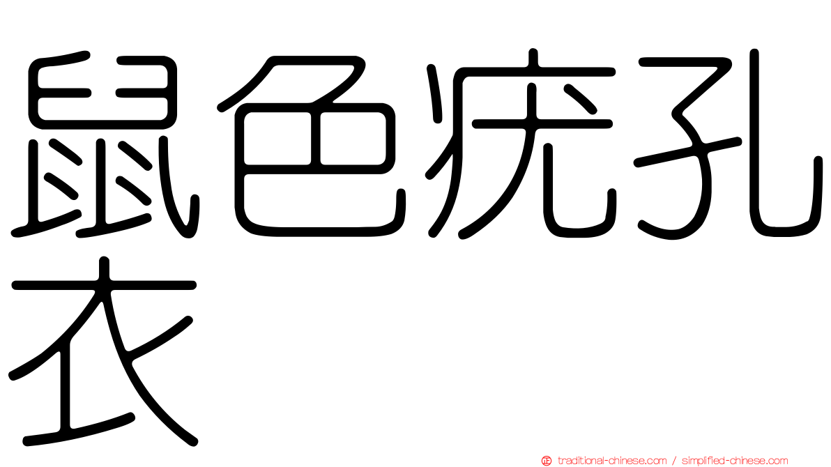 鼠色疣孔衣