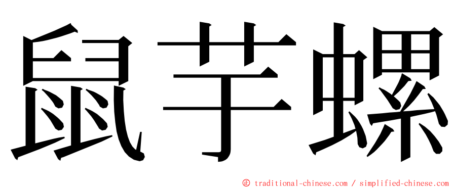 鼠芋螺 ming font