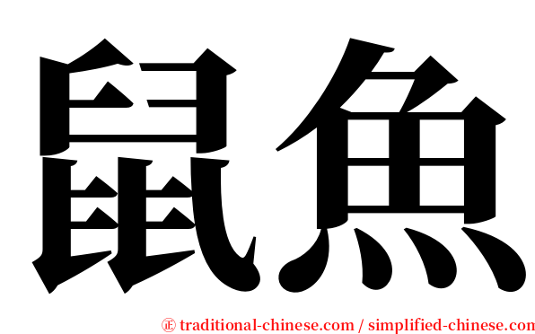 鼠魚 serif font