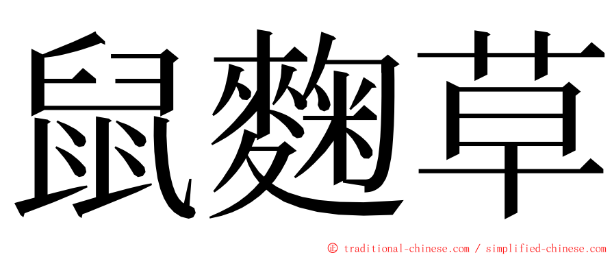 鼠麴草 ming font