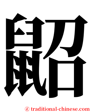 鼦 serif font