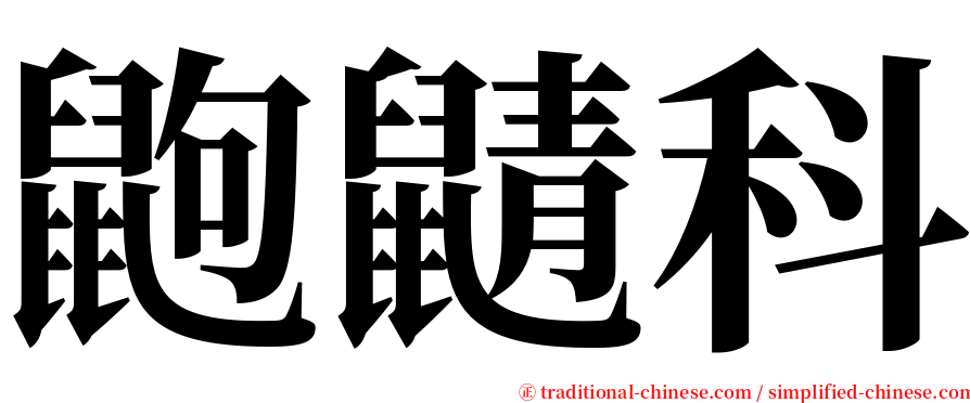 鼩鼱科 serif font