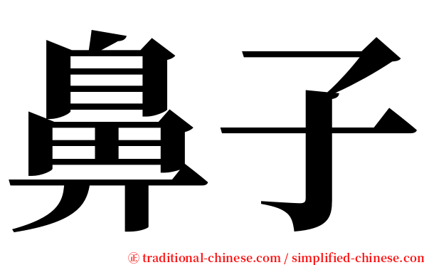 鼻子 serif font