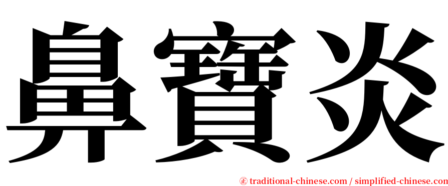 鼻寶炎 serif font