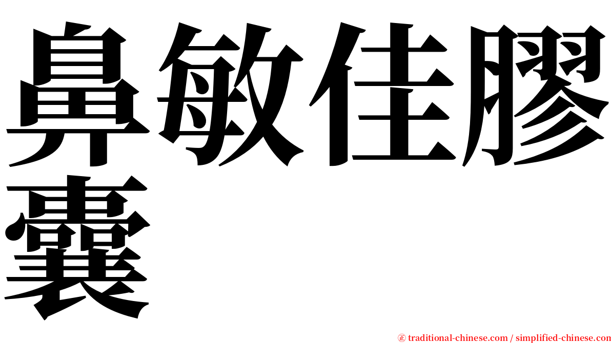 鼻敏佳膠囊 serif font