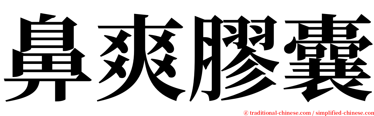 鼻爽膠囊 serif font