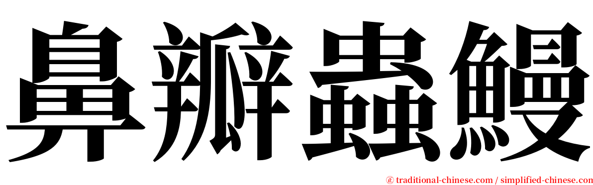 鼻瓣蟲鰻 serif font