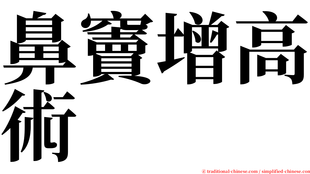 鼻竇增高術 serif font