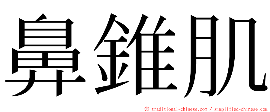 鼻錐肌 ming font