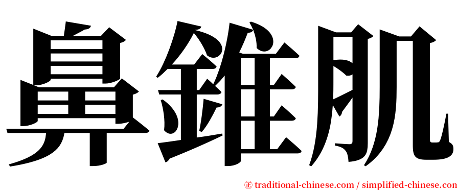 鼻錐肌 serif font