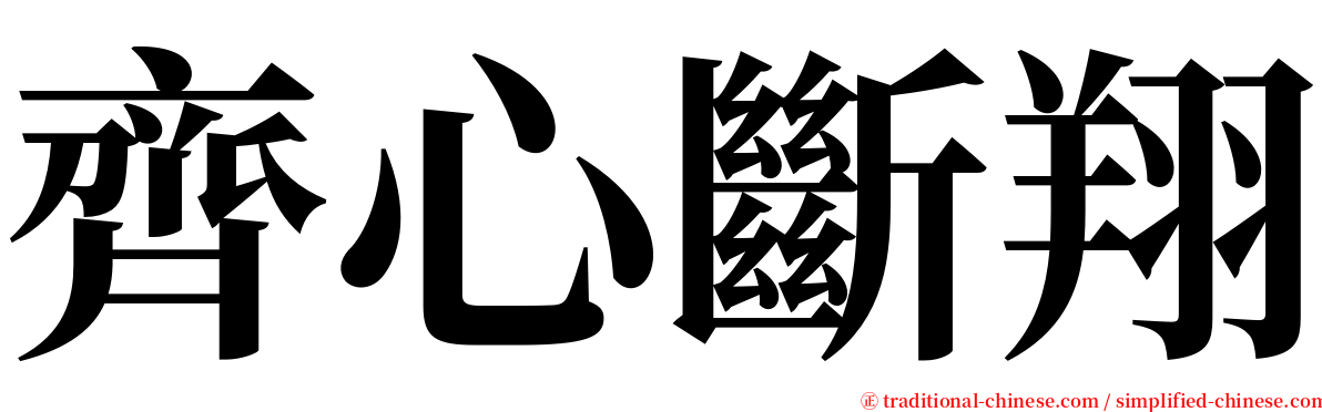 齊心斷翔 serif font