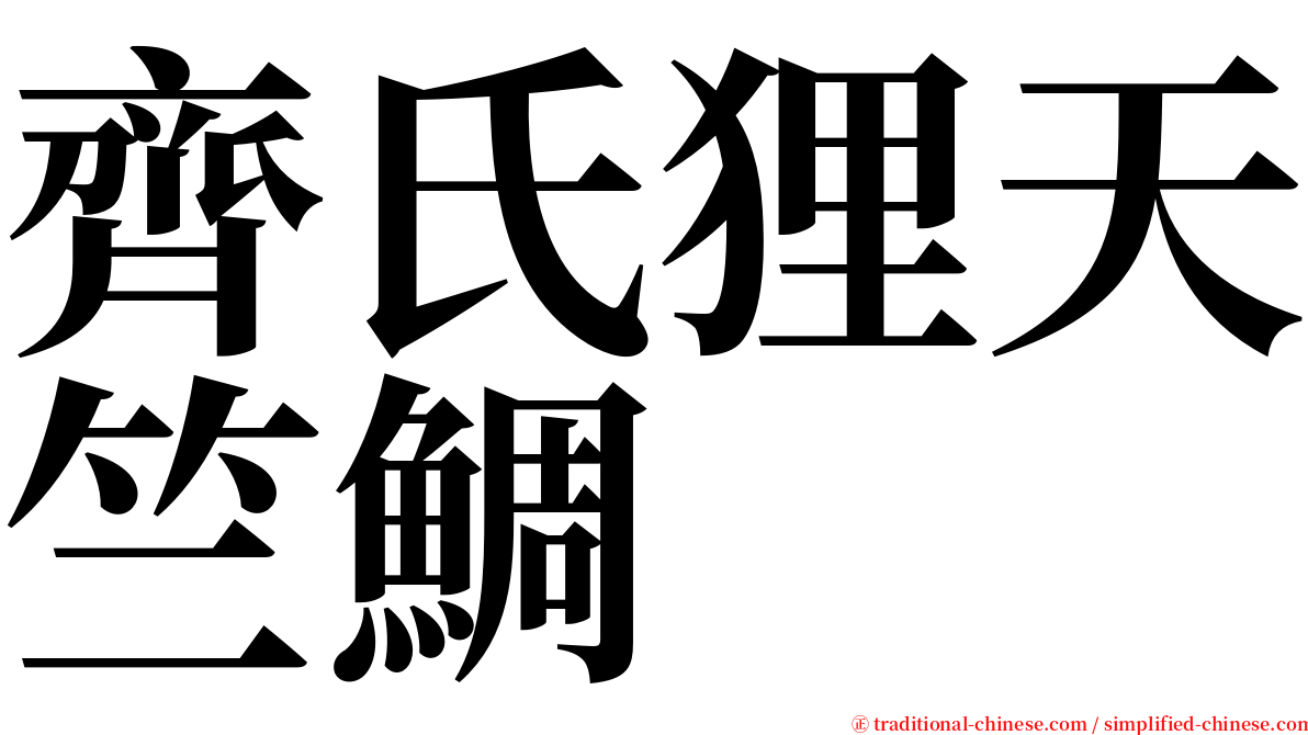 齊氏狸天竺鯛 serif font