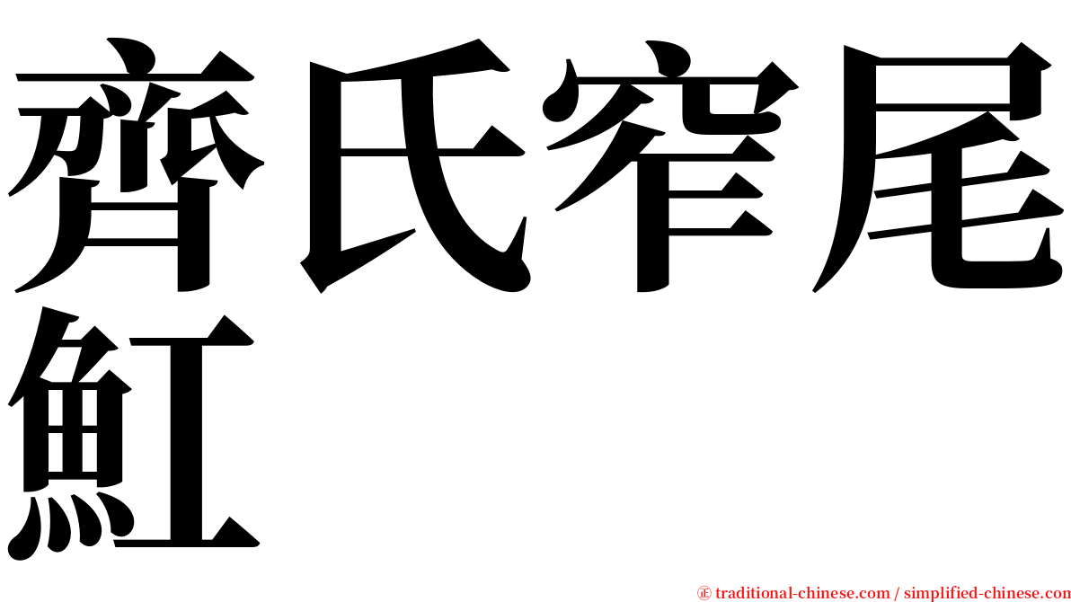 齊氏窄尾魟 serif font