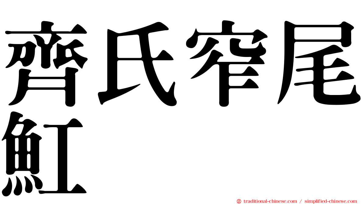 齊氏窄尾魟