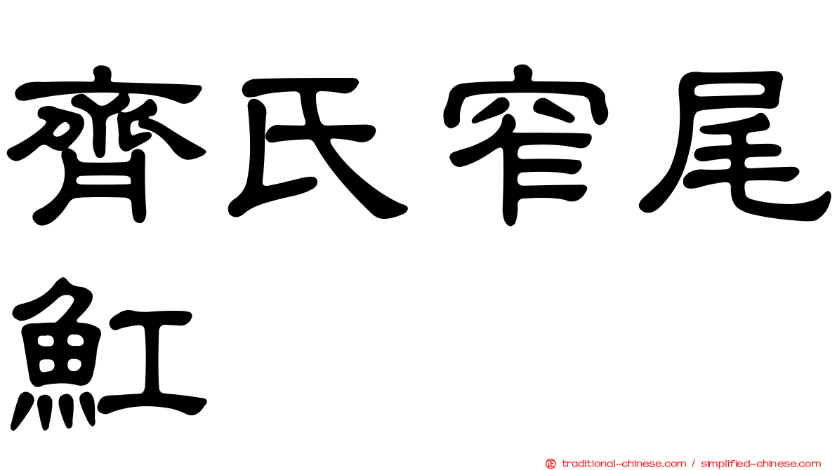 齊氏窄尾魟