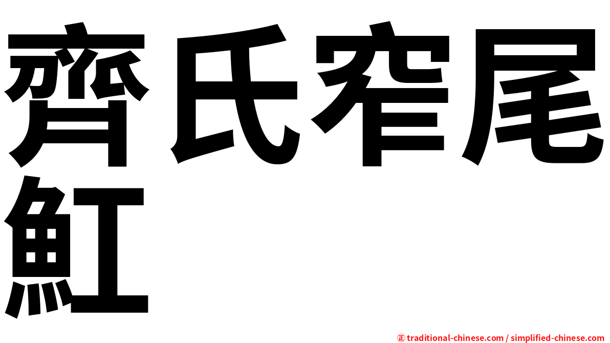 齊氏窄尾魟