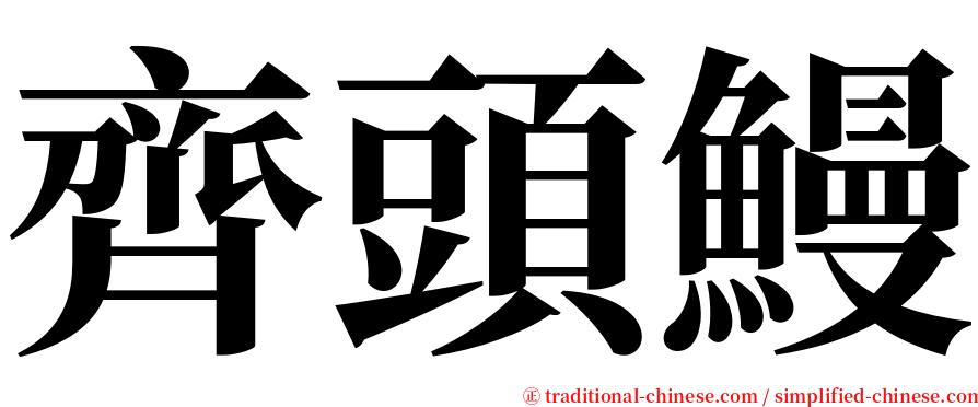 齊頭鰻 serif font