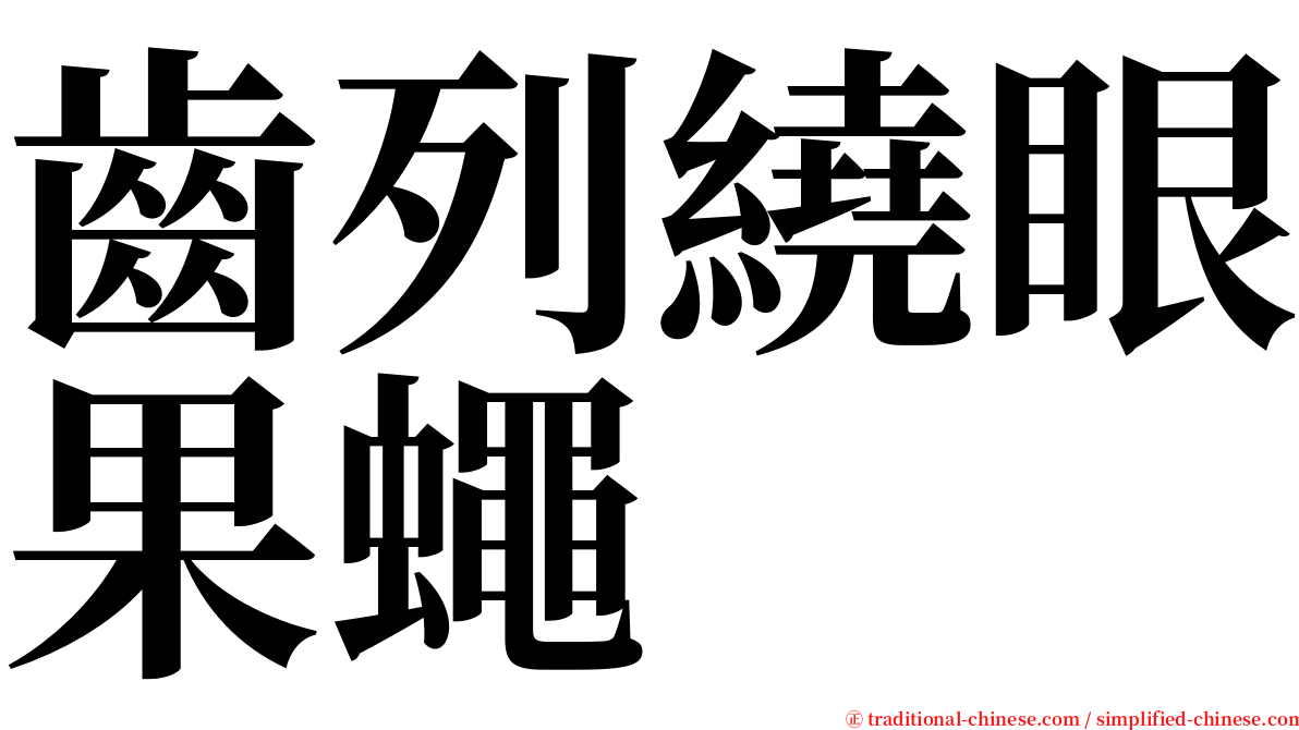 齒列繞眼果蠅 serif font