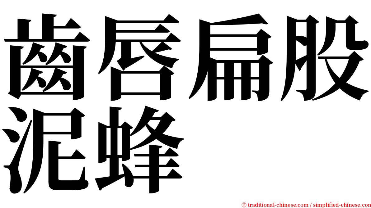 齒唇扁股泥蜂 serif font