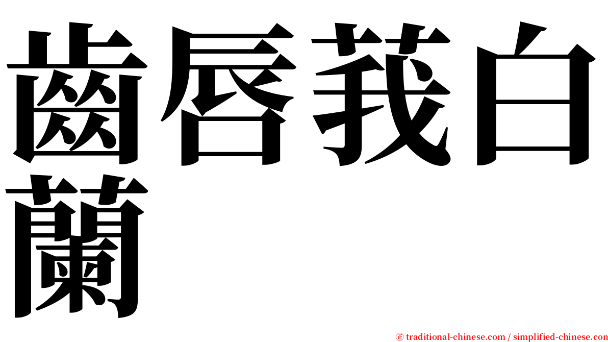 齒唇莪白蘭 serif font