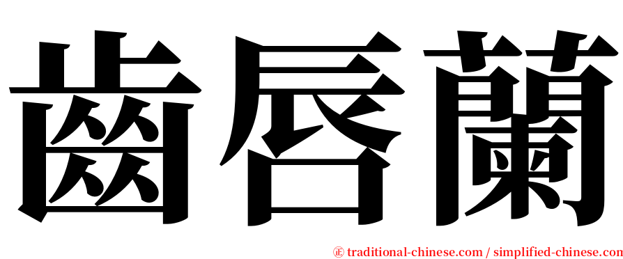 齒唇蘭 serif font