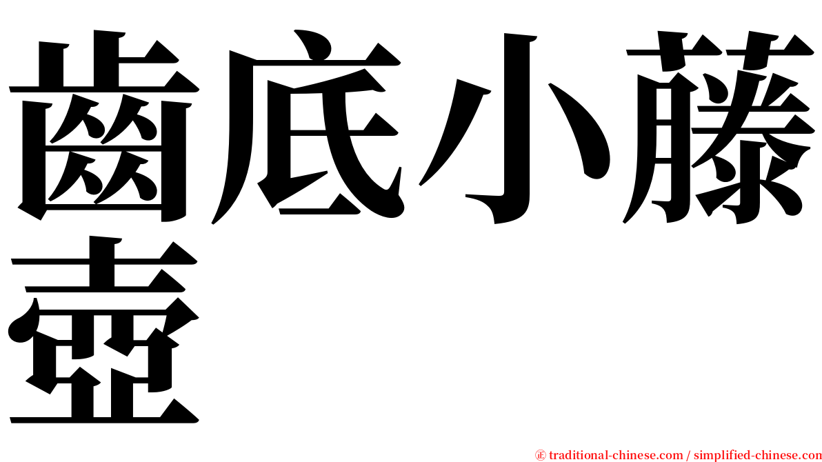 齒底小藤壺 serif font