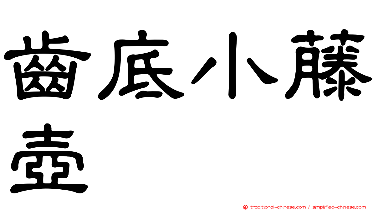 齒底小藤壺