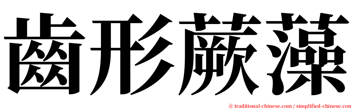 齒形蕨藻 serif font