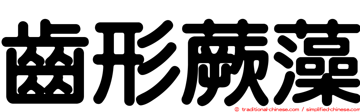 齒形蕨藻