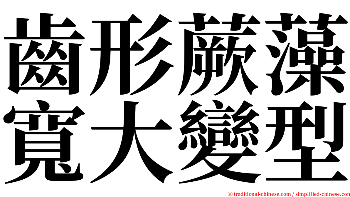 齒形蕨藻寬大變型 serif font