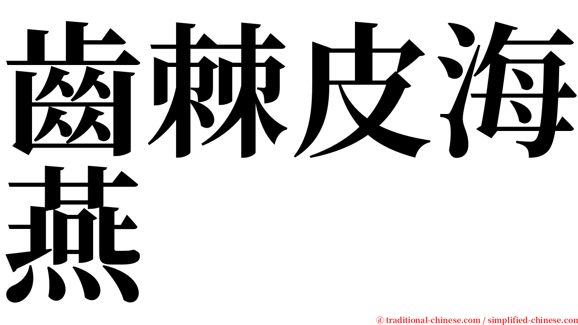 齒棘皮海燕 serif font