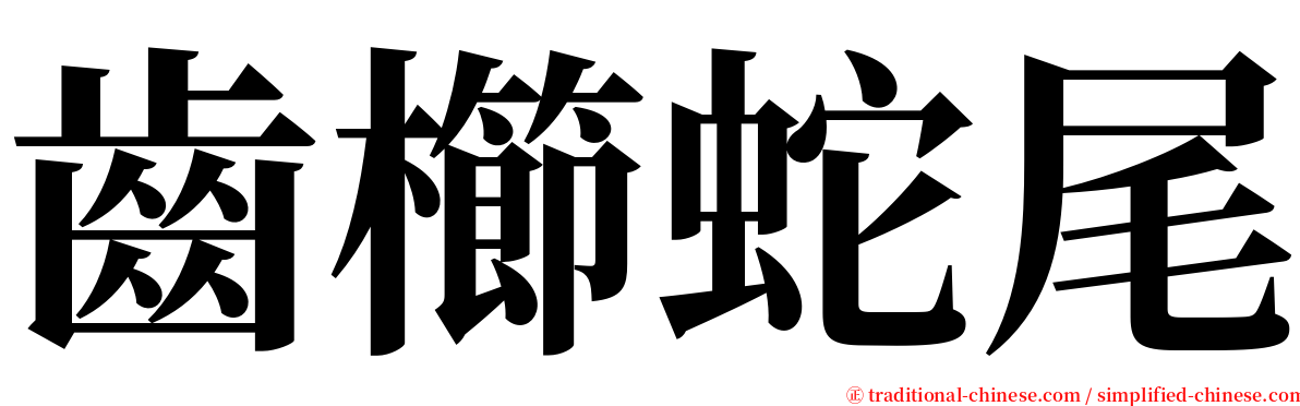 齒櫛蛇尾 serif font