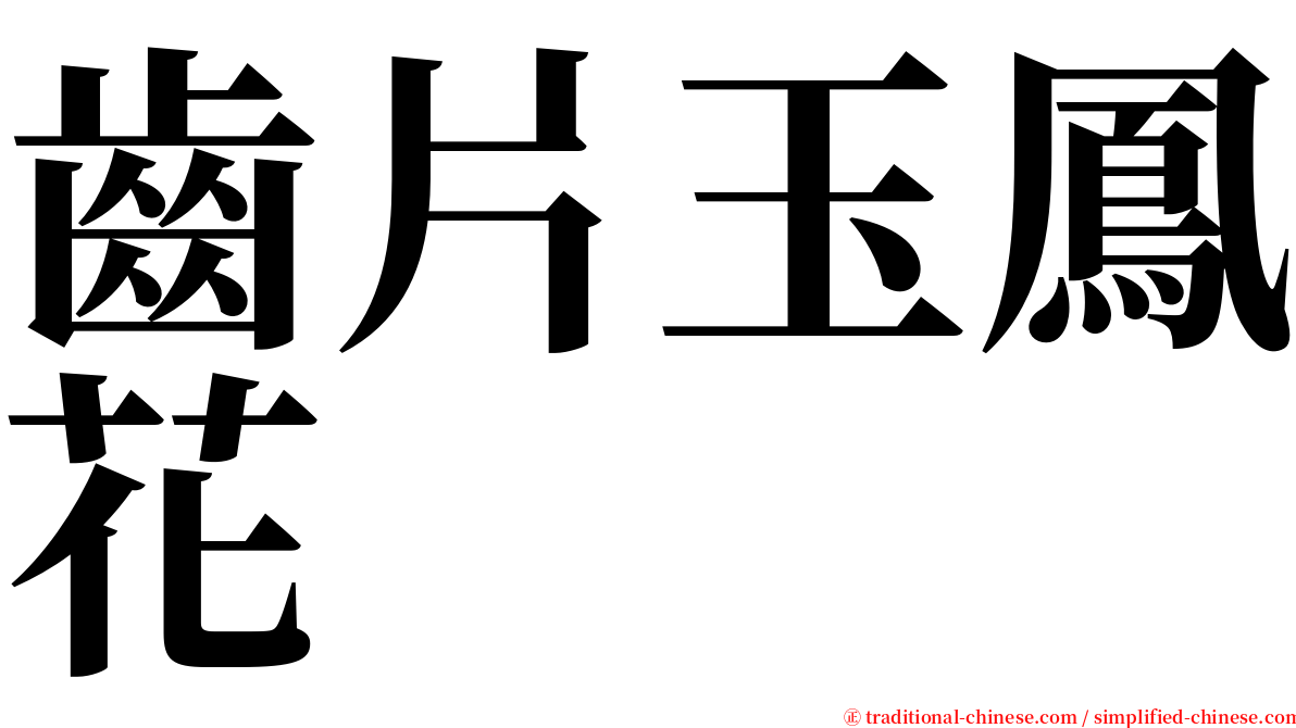 齒片玉鳳花 serif font