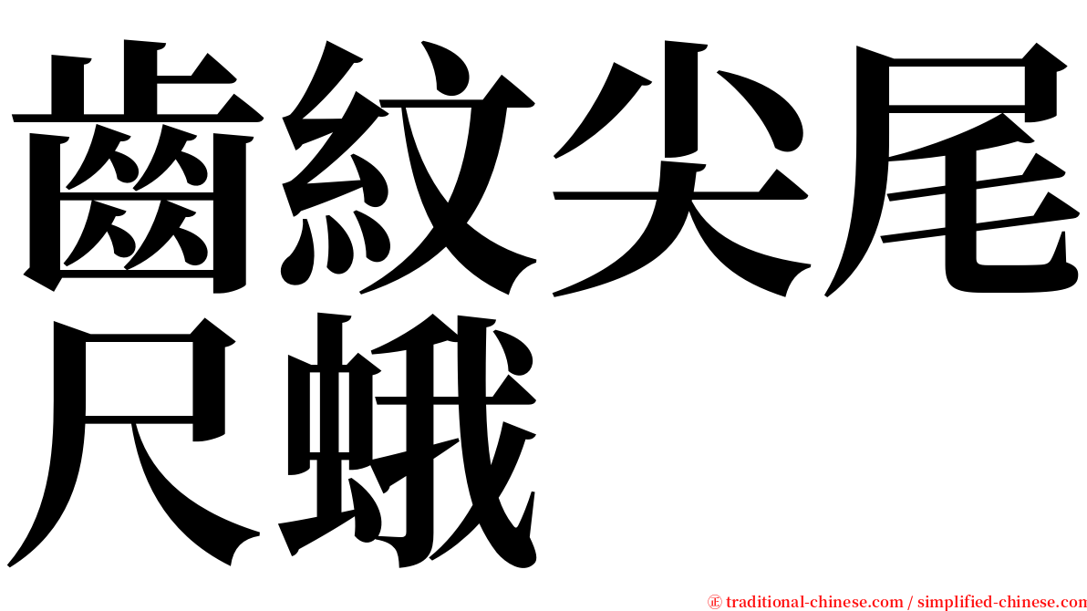 齒紋尖尾尺蛾 serif font