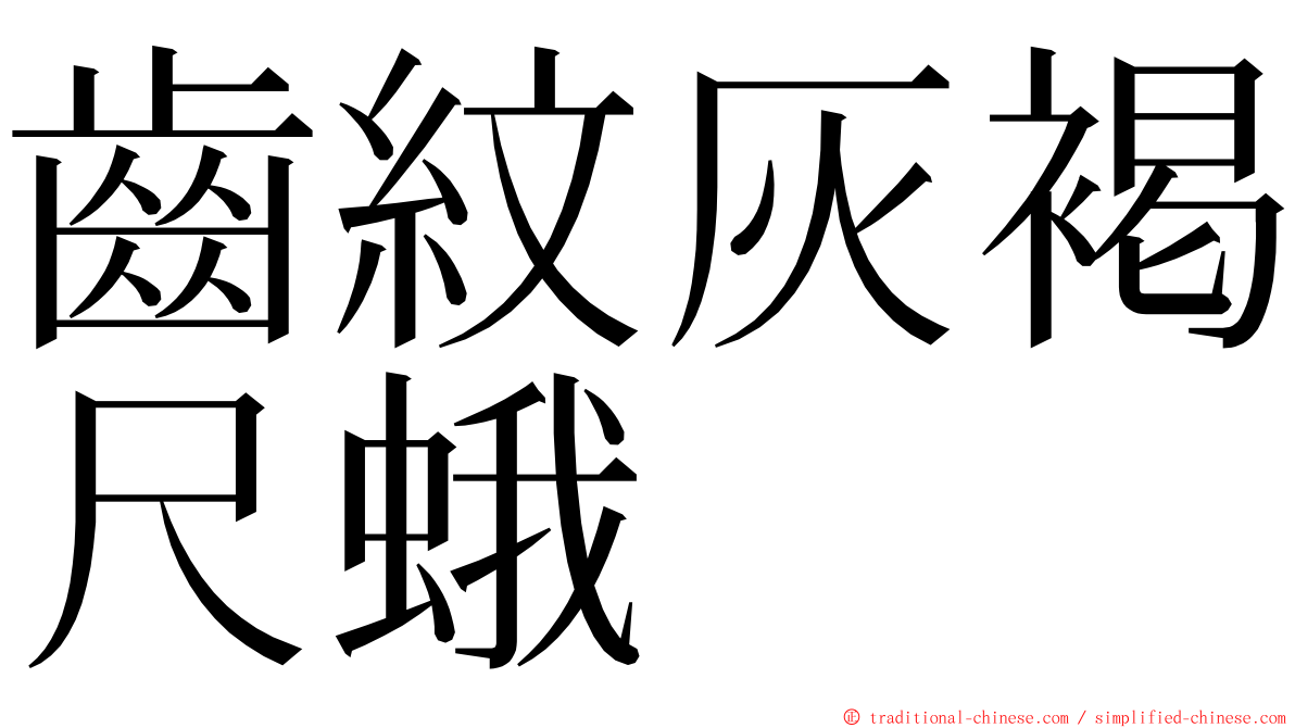 齒紋灰褐尺蛾 ming font