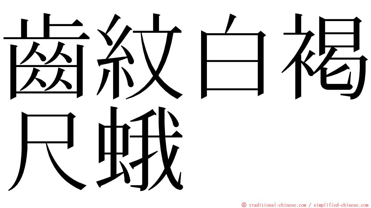 齒紋白褐尺蛾 ming font