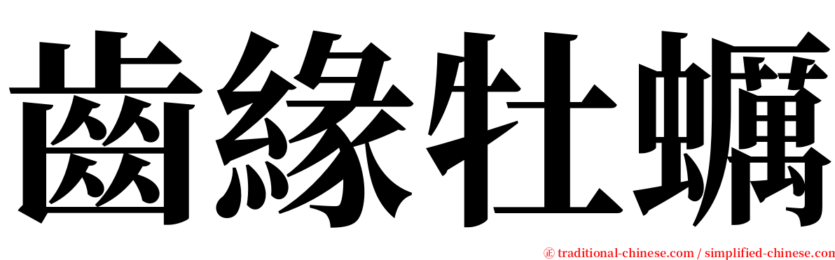 齒緣牡蠣 serif font