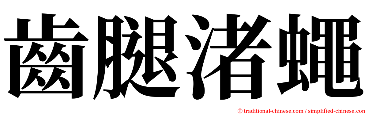 齒腿渚蠅 serif font