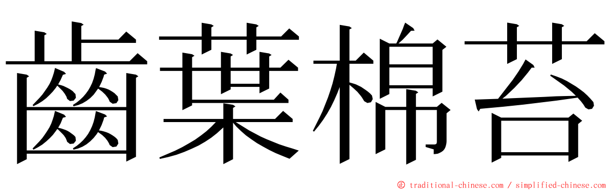 齒葉棉苔 ming font