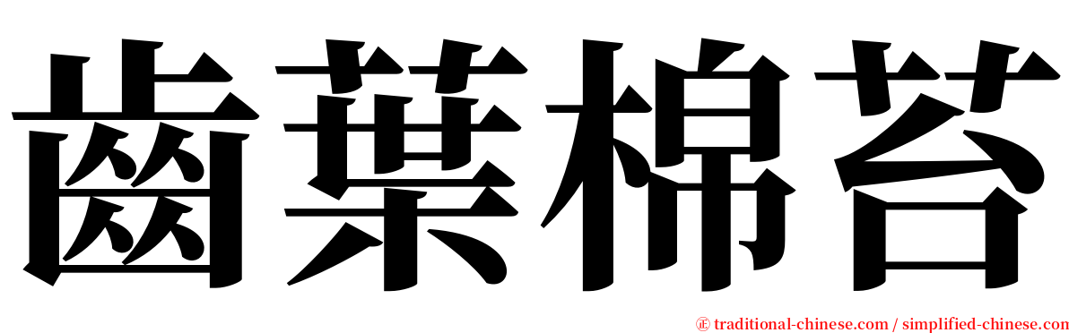 齒葉棉苔 serif font