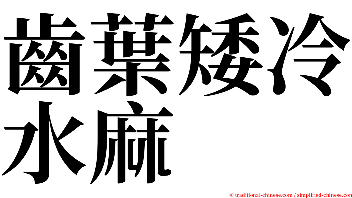 齒葉矮冷水麻 serif font