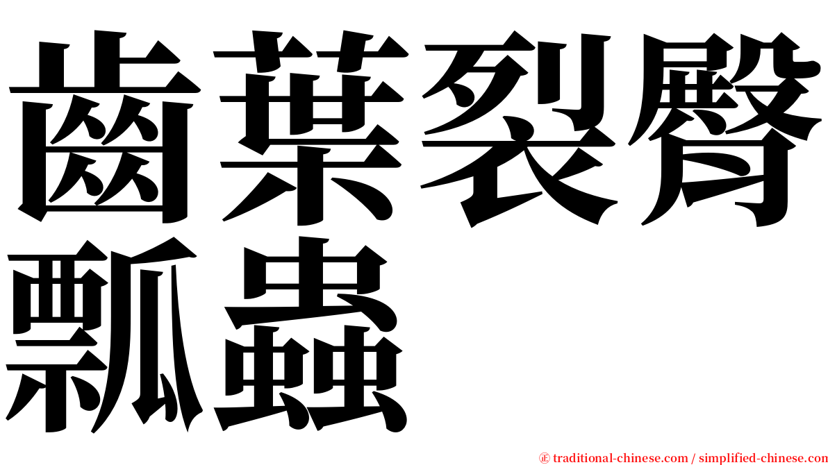 齒葉裂臀瓢蟲 serif font