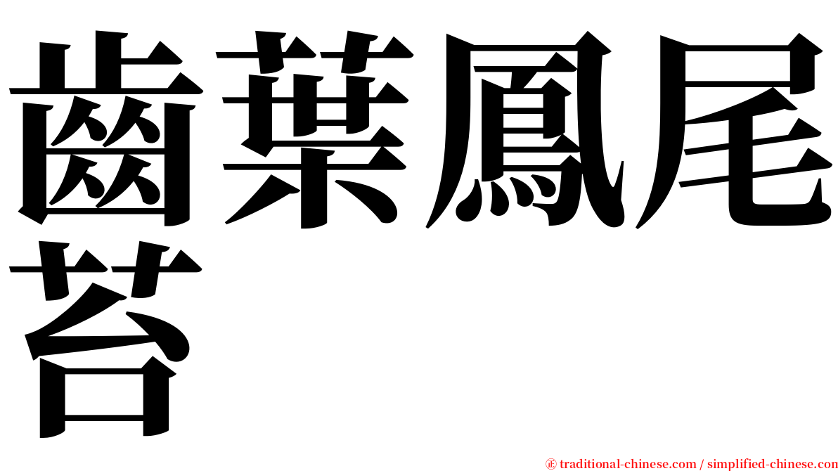 齒葉鳳尾苔 serif font