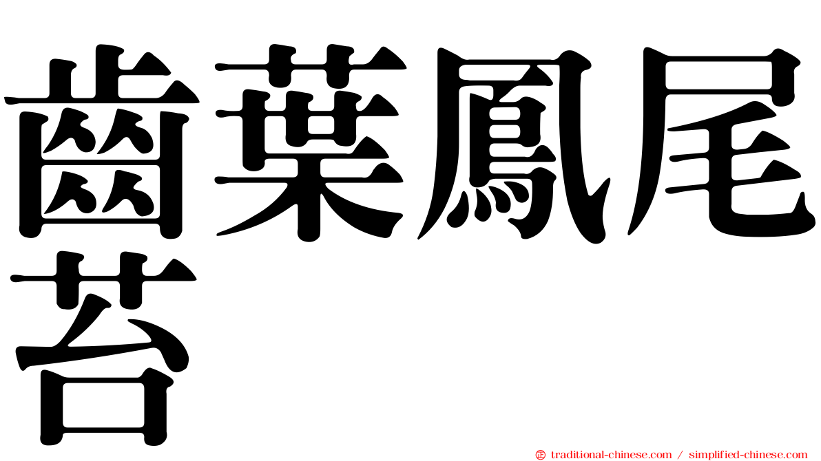 齒葉鳳尾苔