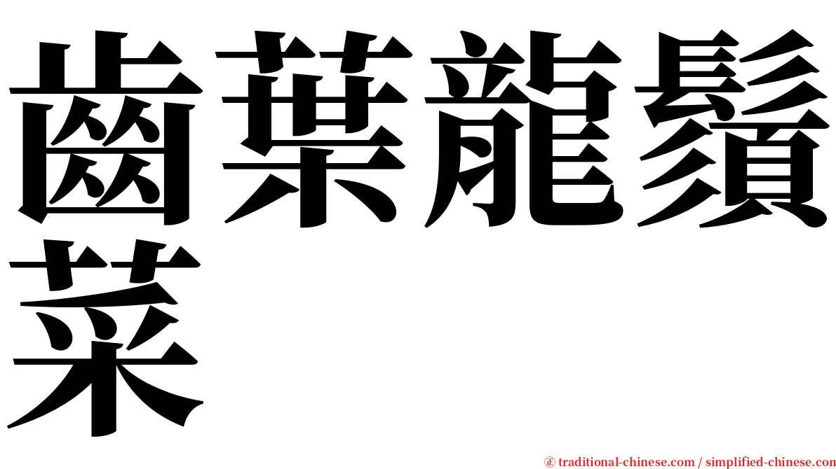 齒葉龍鬚菜 serif font