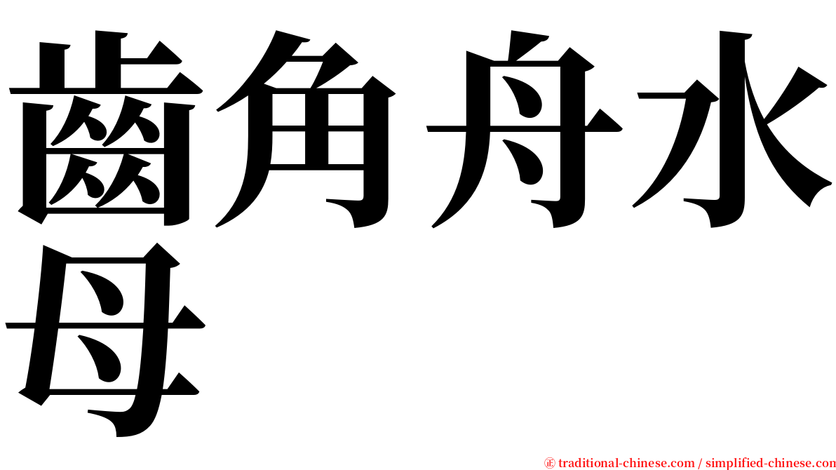 齒角舟水母 serif font